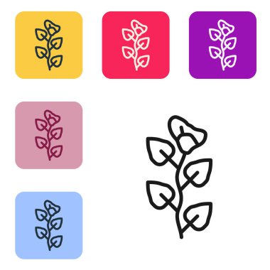 Beyaz arkaplanda siyah çizgi Ivy dal simgesi izole edildi. Yapraklı dal. Renkli kare düğmelerle simgeleri ayarla. Vektör.