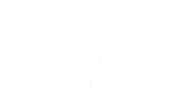 Beyaz arka planda izole edilmiş bir sprey tabanca ikonu olan bir ev bitkisine sprey sıkarken siyah çizgi. Yaprakların nemlenmesi. Çiçeklerle ilgilen. 4K Video hareketli grafik canlandırması