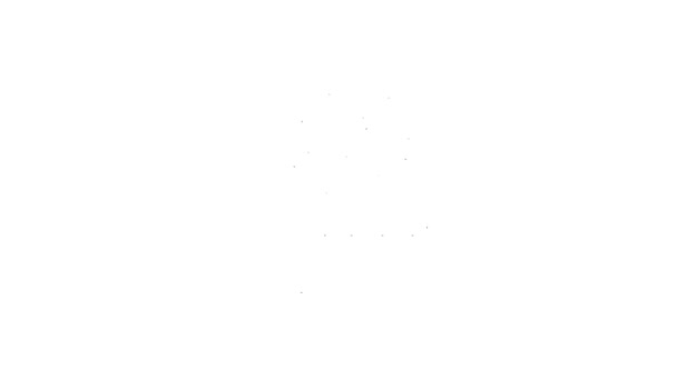 Černá čára Krytá rostlina břečťan v hrnci ikona izolované na bílém pozadí. Větvička s listy. Grafická animace pohybu videa 4K — Stock video