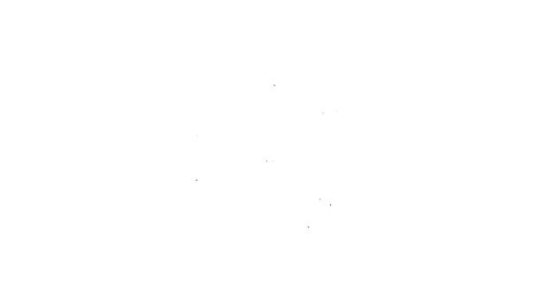 Línea negra Peyote de cactus en maceta icono aislado sobre fondo blanco. Planta creciendo en una maceta. Signo de planta en maceta. Animación gráfica de vídeo 4K — Vídeo de stock