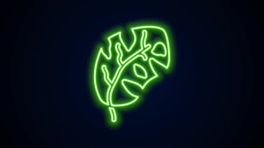 Parlayan neon çizgisi, siyah arkaplanda izole edilmiş palmiye ağacı ikonunun tropikal yaprakları. 4K Video hareketli grafik canlandırması
