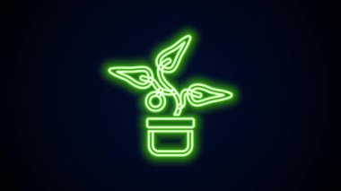 Parlayan neon hattı. Esrar ikonundaki bitki siyah arkaplanda izole edilmiş. Tencerede yetişen bir bitki. Saksı bitkisi işareti. 4K Video hareketli grafik canlandırması