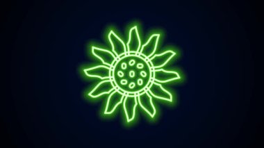 Parlayan neon hattı çiçek simgesi siyah arkaplanda izole edildi. 4K Video hareketli grafik canlandırması