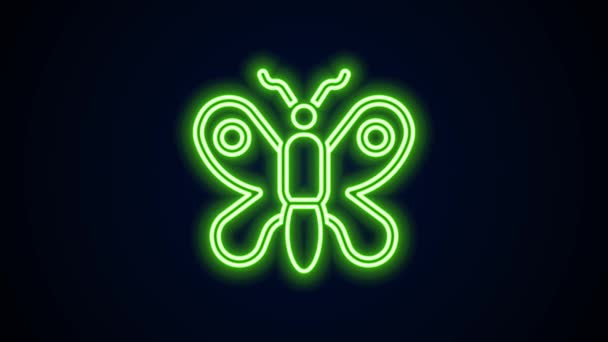 Zářící neonová čára Motýl ikona izolované na černém pozadí. Grafická animace pohybu videa 4K — Stock video