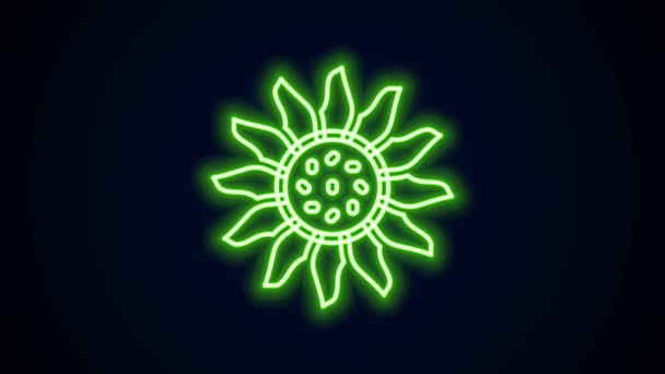 Glowing neon line Flower icon isolated on black background. 4K Video motion graphic animation — Stock Video