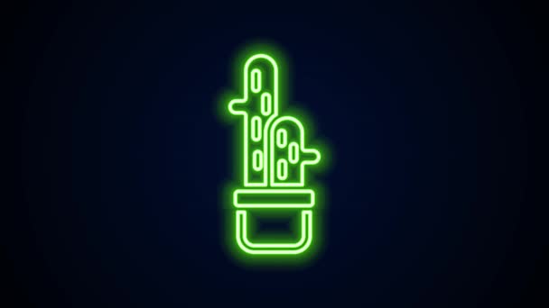 Línea de neón brillante Peyote de cactus en el icono del pote aislado sobre fondo negro. Planta creciendo en una maceta. Signo de planta en maceta. Animación gráfica de vídeo 4K — Vídeos de Stock