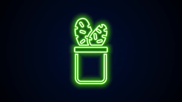 Linea neon incandescente Cactus peyote in pot icon isolato su sfondo nero. Pianta che cresce in vaso. Segno di pianta in vaso. Animazione grafica 4K Video motion — Video Stock