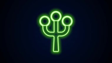 Siyah arkaplanda çiçek ikonu olan parlak neon hattı çiçek ağacı dalı. 4K Video hareketli grafik canlandırması