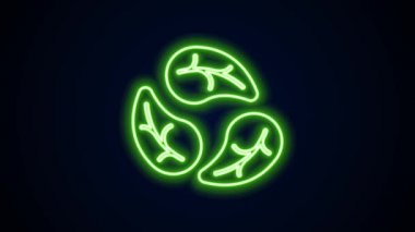 Parlayan neon çizgisi Yaprak simgesi siyah arkaplanda izole edildi. İşaret bırakıyor. Taze doğal ürün sembolü. 4K Video hareketli grafik canlandırması