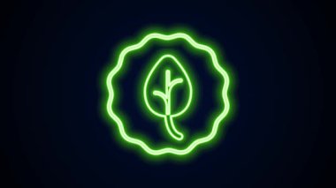 Parlayan neon çizgisi Yaprak simgesi siyah arkaplanda izole edildi. İşaret bırakıyor. Taze doğal ürün sembolü. 4K Video hareketli grafik canlandırması