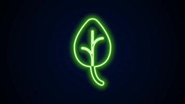 Parlayan neon çizgisi Yaprak simgesi siyah arkaplanda izole edildi. İşaret bırakıyor. Taze doğal ürün sembolü. 4K Video hareketli grafik canlandırması