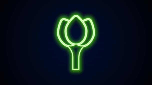 Leuchtende Neon-Linie Blume Tulpe Symbol isoliert auf schwarzem Hintergrund. 4K Video Motion Grafik Animation — Stockvideo