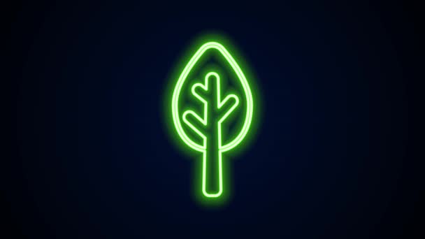 黒の背景に孤立したネオンラインのツリーアイコンを光る。森のシンボル。4Kビデオモーショングラフィックアニメーション — ストック動画