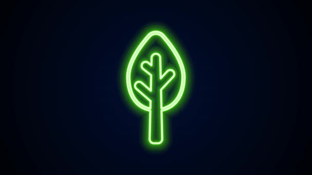 Icono de árbol de línea de neón brillante aislado sobre fondo negro. Símbolo forestal. Animación gráfica de vídeo 4K — Vídeos de Stock