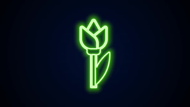 Ligne lumineuse néon Fleur icône de tulipe isolé sur fond noir. Animation graphique de mouvement vidéo 4K — Video