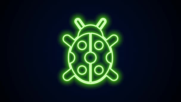 Gloeiende neon lijn Ladybug pictogram geïsoleerd op zwarte achtergrond. 4K Video motion grafische animatie — Stockvideo