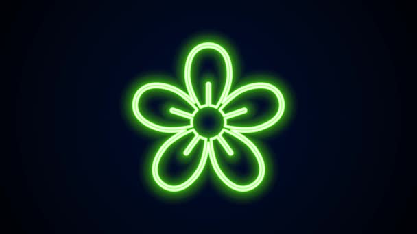 Glowing neon line Flower icon isolated on black background. 4K Video motion graphic animation — Stock Video