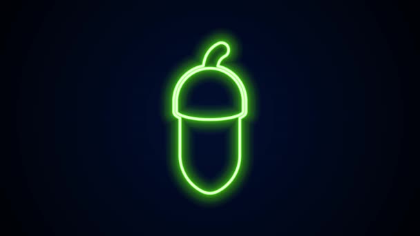 Ligne lumineuse néon icône Acorn isolé sur fond noir. Animation graphique de mouvement vidéo 4K — Video