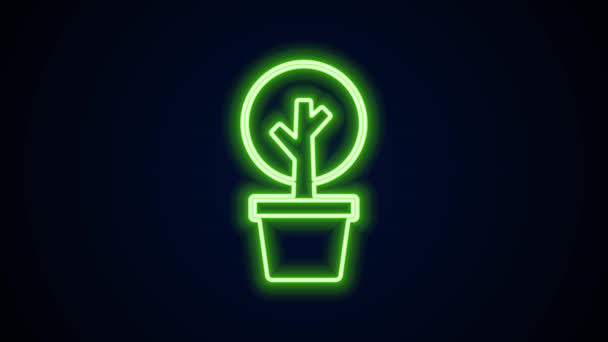 Glowing neon line Tree icon isolated on black background. Forest symbol. 4K Video motion graphic animation — Stock Video