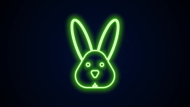 Linha de néon brilhante Crueldade animal livre com ícone de coelho isolado no fundo preto. Animação gráfica em movimento de vídeo 4K — Vídeo de Stock