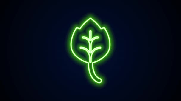 Glödande neon linje Leaf ikon isolerad på svart bakgrund. Lämnar tecken. Färsk naturprodukt symbol. 4K Video motion grafisk animation — Stockvideo