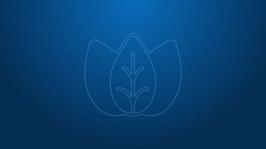 Beyaz çizgi Yaprak simgesi mavi arkaplanda izole edildi. İşaret bırakıyor. Taze doğal ürün sembolü. 4K Video hareketli grafik canlandırması