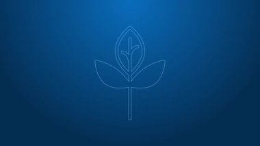 Beyaz çizgi Yaprak simgesi mavi arkaplanda izole edildi. İşaret bırakıyor. Taze doğal ürün sembolü. 4K Video hareketli grafik canlandırması