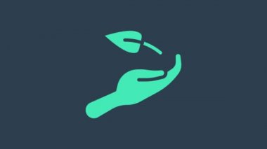 Turkuaz filizi, mavi arka planda izole edilmiş çevre koruma ikonunun elinde. Tohum ve tohum. Fidan dikiyorum. Ekoloji konsepti. 4K Video hareketli grafik canlandırması