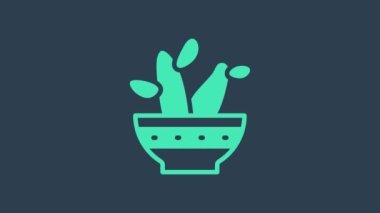 Turkuaz kaktüs kaktüsü kaktüsü mavi arka planda izole edilmiş bir saksı ikonu. Tencerede yetişen bir bitki. Saksı bitkisi işareti. 4K Video hareketli grafik canlandırması