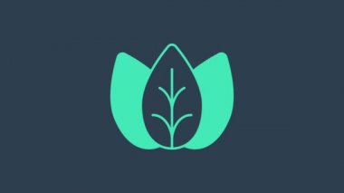 Turkuaz Yaprak simgesi mavi arkaplanda izole edildi. İşaret bırakıyor. Taze doğal ürün sembolü. 4K Video hareketli grafik canlandırması