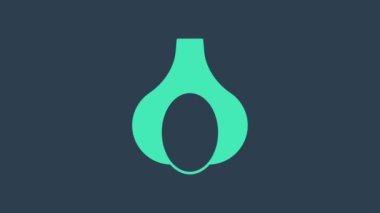 Mavi arka planda izole edilmiş turkuaz sarımsak ikonu. 4K Video hareketli grafik canlandırması