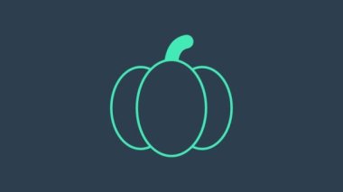 Turkuaz kabak simgesi mavi arkaplanda izole edildi. Mutlu Cadılar Bayramı Partisi. 4K Video hareketli grafik canlandırması