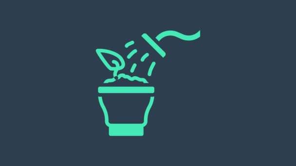 Τυρκουάζ Ψεκάζοντας ένα φυτό σπιτιού με ένα εικονίδιο πιστολιού που απομονώνεται σε μπλε φόντο. Ενυδάτωση του φυλλώματος. Φροντίδα για τα λουλούδια στο σπίτι. 4K Γραφική κίνηση κίνησης βίντεο — Αρχείο Βίντεο
