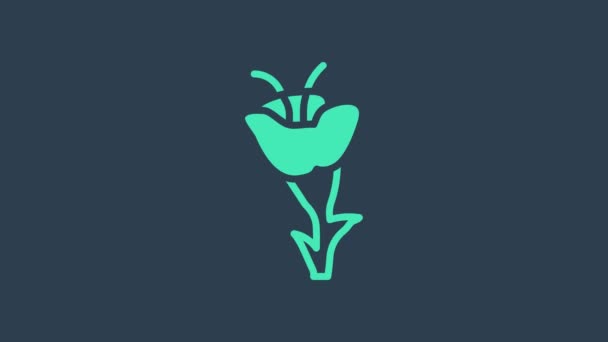 Иконка бирюзового цветка выделена на синем фоне. Видеографическая анимация 4K — стоковое видео