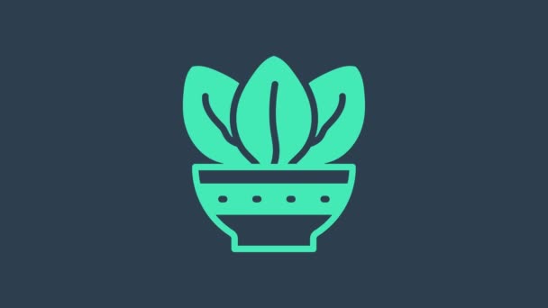 Turquoise Plant in pot icon isolated on blue background. Plant growing in a pot. Potted plant sign. 4K Video motion graphic animation — Stock Video