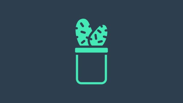 Cactus peyote turquoise en pot icône isolée sur fond bleu. Plante poussant en pot. Panneau végétal en pot. Animation graphique de mouvement vidéo 4K — Video