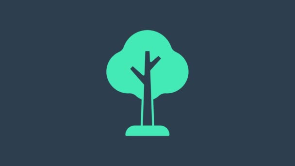 Значок бирюзового дерева выделен на синем фоне. Символ леса. Видеографическая анимация 4K — стоковое видео