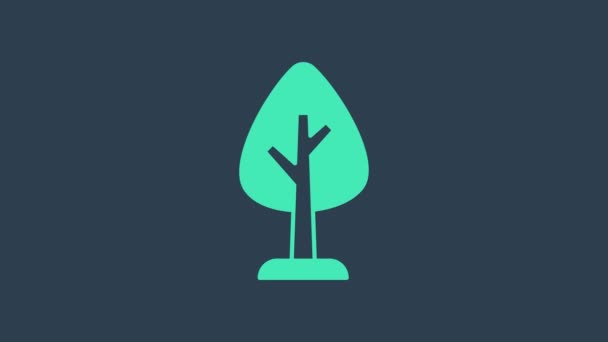 Icône d'arbre turquoise isolée sur fond bleu. Symbole forestier. Animation graphique de mouvement vidéo 4K — Video