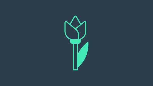 Türkiz Virág tulipán ikon elszigetelt kék alapon. 4K Videó mozgás grafikus animáció