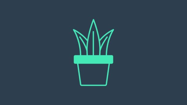 青の背景に隔離されたポットアイコンのターコイズプラント。鉢の中で植物が成長する。鉢植えの看板。4Kビデオモーショングラフィックアニメーション — ストック動画