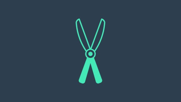 Turquoise Gardening handmade scissors for trimming icon isolated on blue background. Pruning shears with wooden handles. 4K Video motion graphic animation — 비디오