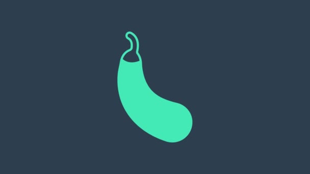 Turquoise Eggplant icon isolated on blue background. 4K Video motion graphic animation — Stock Video