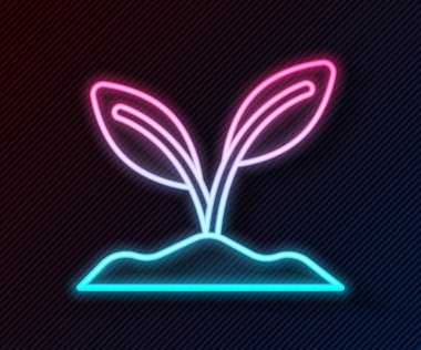 Parlayan neon çizgisi simgesi siyah arkaplanda izole edildi. Tohum ve tohum. İşaret bırakıyor. Yaprak doğası. Vektör.