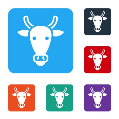 Beyaz İnek baş simgesi beyaz arkaplanda izole edildi. Renkli kare düğmelerle simgeleri ayarla. Vektör.