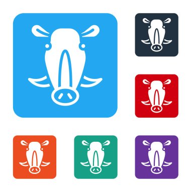 Beyaz yaban domuzu kafası ikonu beyaz arka planda izole edilmiş. Hayvan sembolü. Renkli kare düğmelerle simgeleri ayarla. Vektör.