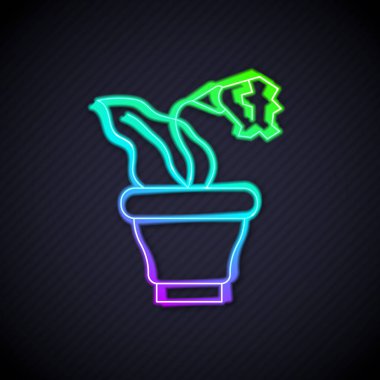 Siyah arkaplanda izole edilmiş tencere simgesinde parlayan neon hattı çiçeği. Tencerede yetişen bir bitki. Saksı bitkisi işareti. Vektör.
