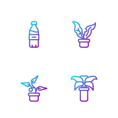 Ota egzotik tropikal bitki, bitki, bir şişe su ve... Renk simgeleri. Vektör