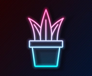 Parlayan neon hattı. Esrar ikonundaki bitki siyah arkaplanda izole edilmiş. Tencerede yetişen bir bitki. Saksı bitkisi işareti. Vektör.