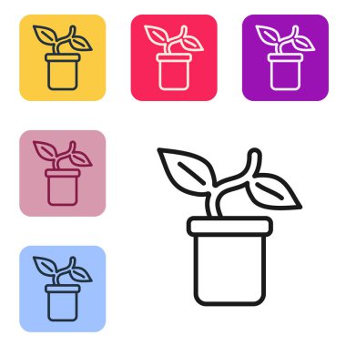 Esrar ikonundaki siyah çizgi bitkisi beyaz arkaplanda izole edilmiş. Tencerede yetişen bir bitki. Saksı bitkisi işareti. Renkli kare düğmelerle simgeleri ayarla. Vektör.