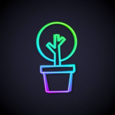 Parlayan neon çizgisi ağaç simgesi siyah arkaplanda izole edildi. Orman sembolü. Vektör.